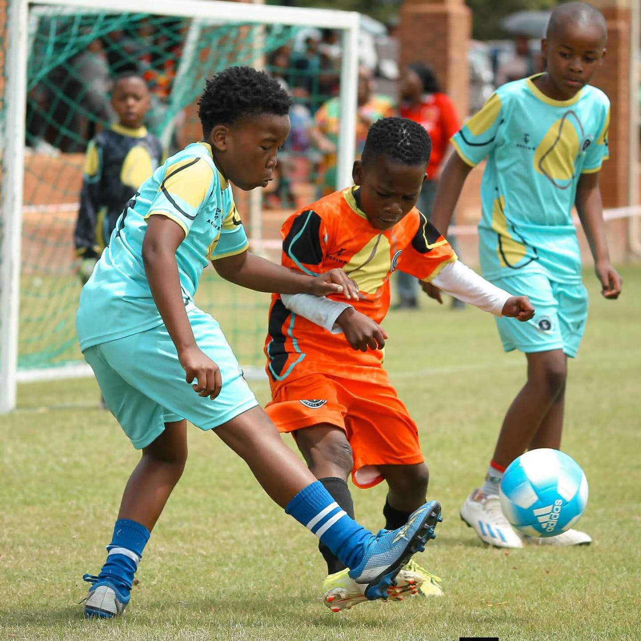 HSDF programme moment 16
